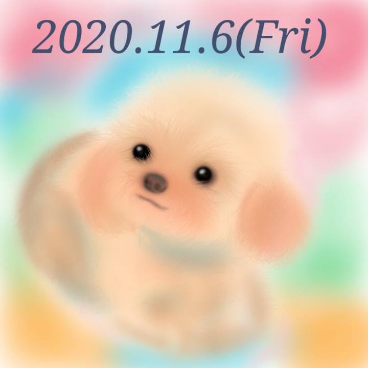 C2e1b916 4de0 4868 862f 6342482febf1 1604666924379