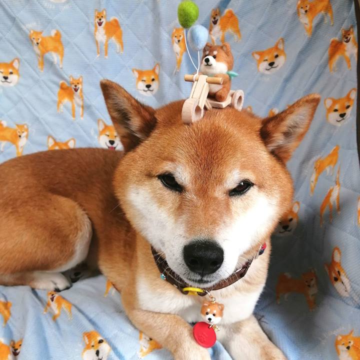 C2e1bafb ffc5 4ba3 a097 c09d5a225f39 1650958752702