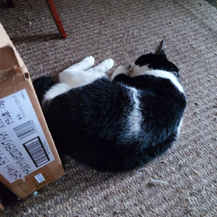 C2e1ef22 722c 4a04 aa67 3c128faf3831 1758353427439