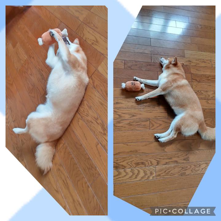 C2e1fa9e eeb0 46a6 9625 847056542ee6 1721026689230