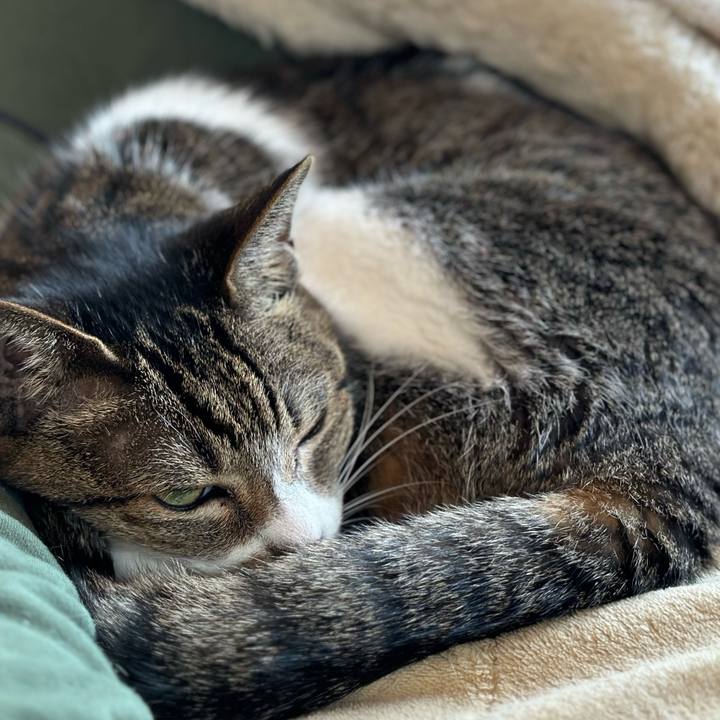 C2e20bdd 950c 4cd7 9125 49ef3a33e8f6 1681352859862