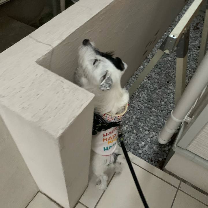 C2e21a77 9781 4f00 848e 3bad1d77f085 1573113841571