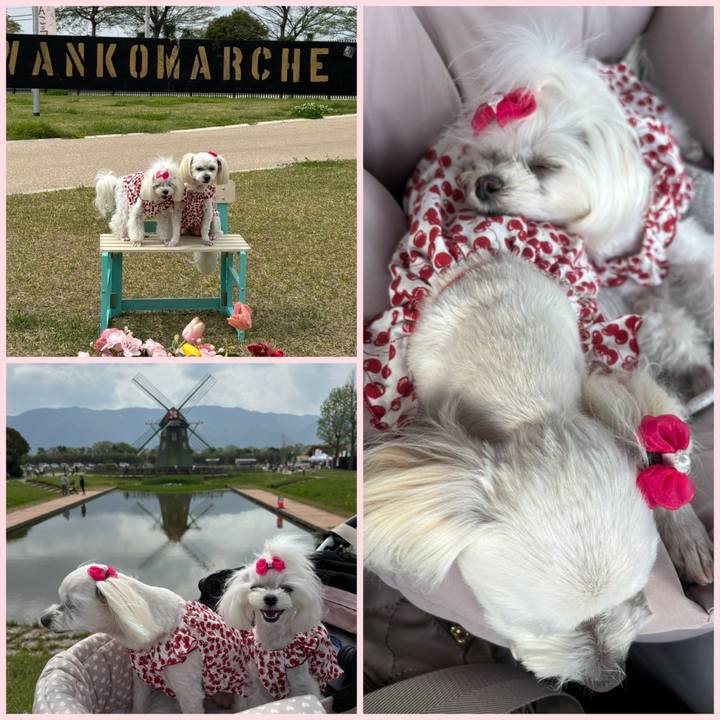 C2e21af4 68a1 4b0d a346 fa73264bbdb2 1745147336971