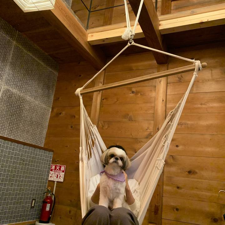 C2e23217 01f5 4e32 b985 4cc2eca9e6f7 1600753164456