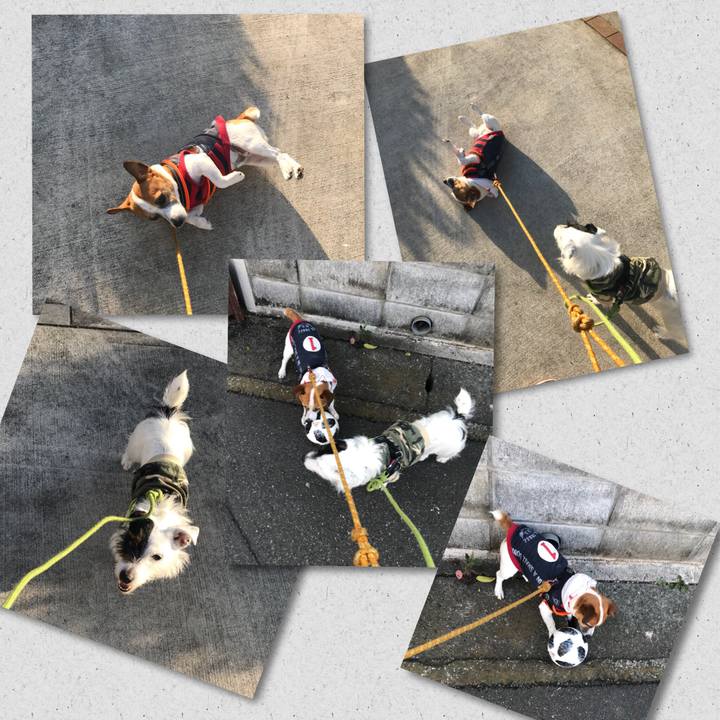 C2e30b33 98b7 46dc 9b87 c475bca9c970 1524127362796