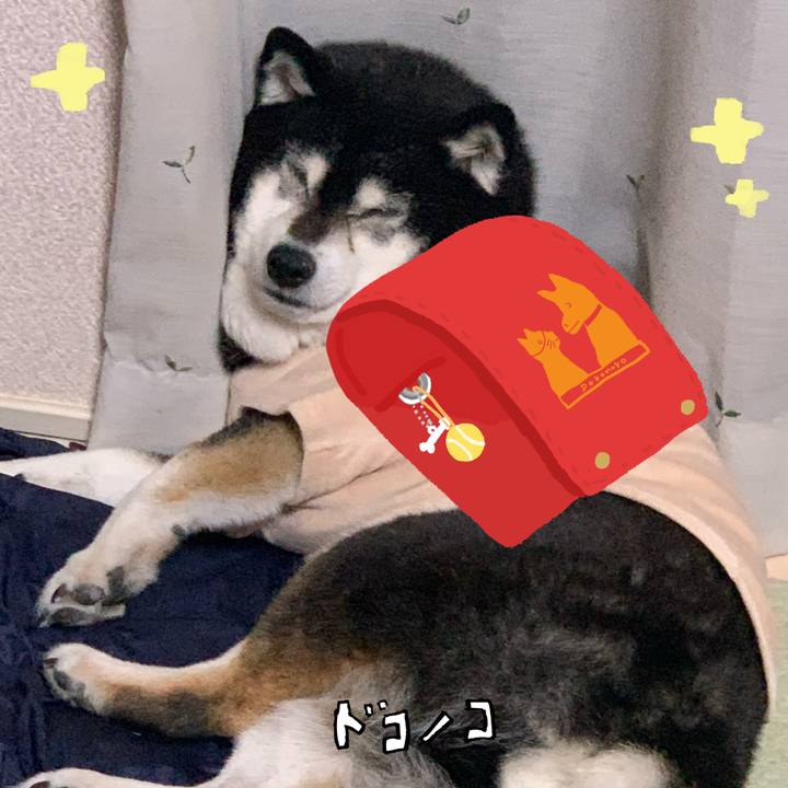 C2e317ba f0fb 43c9 abe2 7932eebcdd5e 1744282569545