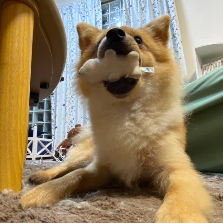 C2e33bc1 6c40 4c88 888e b379a24997df 1601640169775