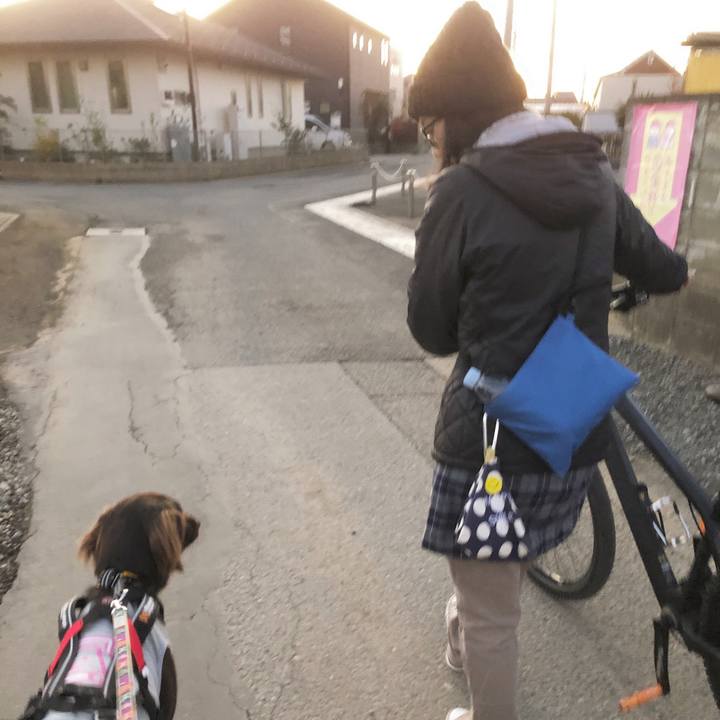 C2e3a674 ec06 423a 835e fa91e78cc72f 1575846277116