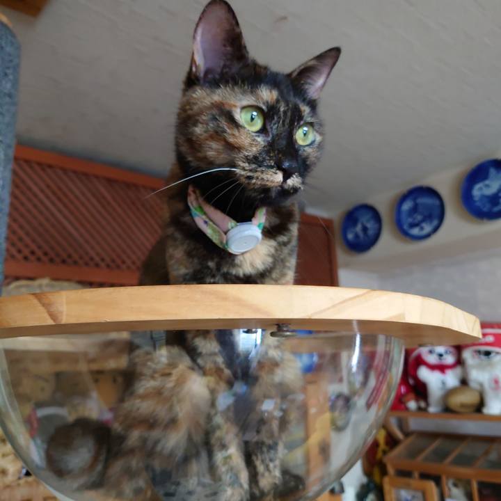 C2e3fee6 2749 47a4 8f2e d9127efce4b8 1660523961150