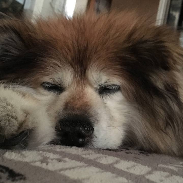 C2e4060f bfaf 43ab abf8 2541d6bdb057 1610438159023