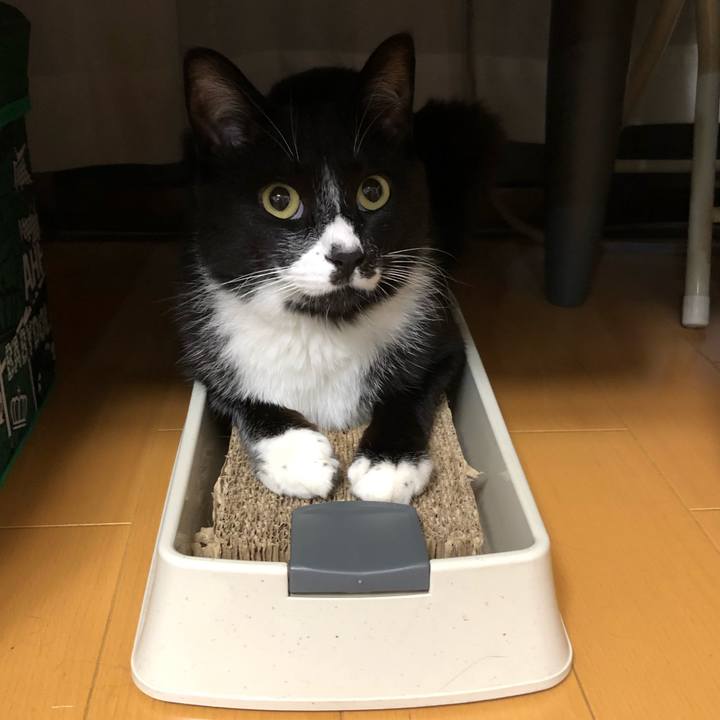 C2e42d39 8996 4bcd 9e97 5af2f2157d0d 1561607007043