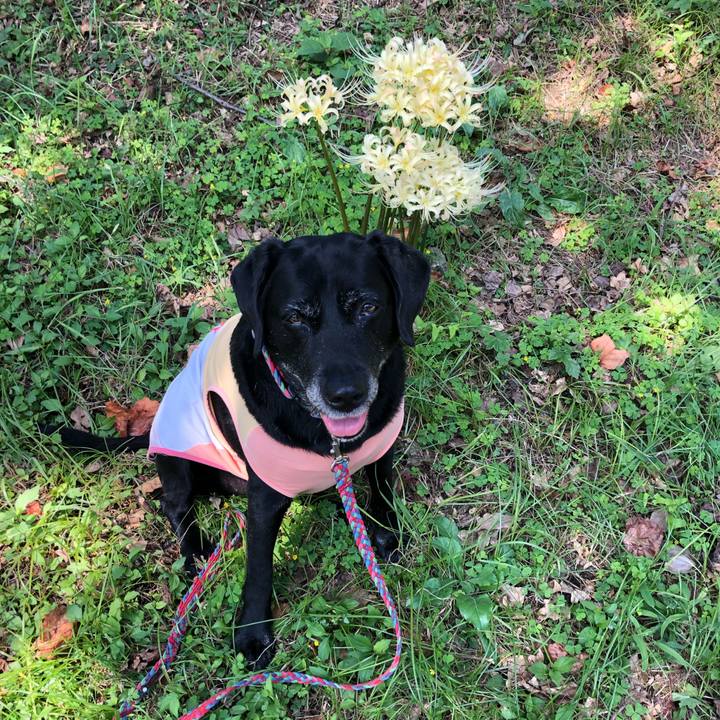 C2e47114 91d8 474b ae0d e472a08245e2 1569628300349