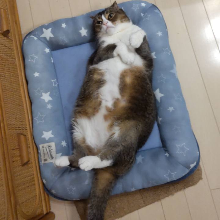 C2e491a9 753d 4da0 befb 293d54a61276 1620483582860