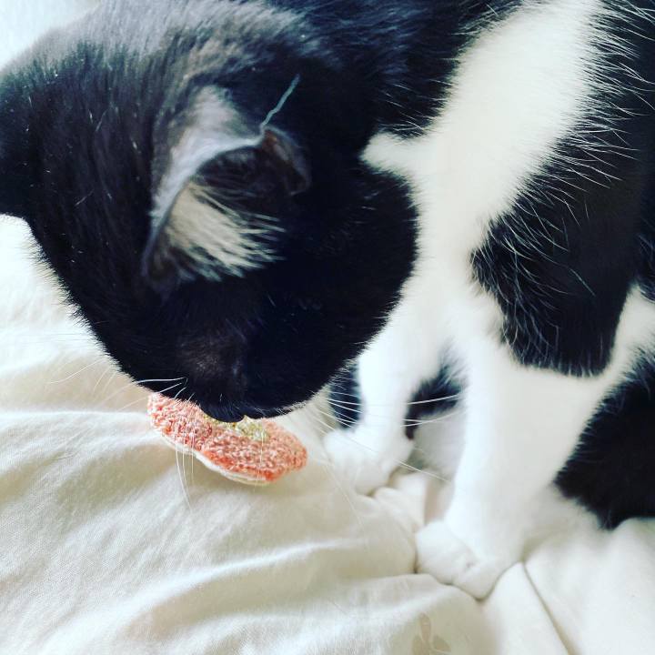 C2e49f3e 22f7 4629 b4cc c97465620ce8 1616481503654