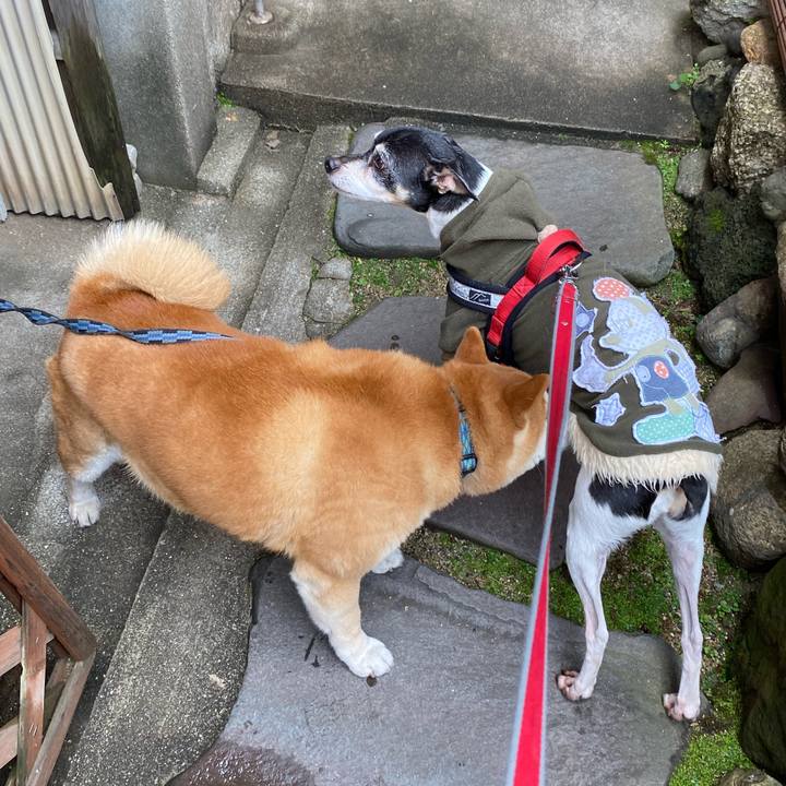 C2e4e315 9b3a 42cc a55e 6257ae69f9b8 1583025494933