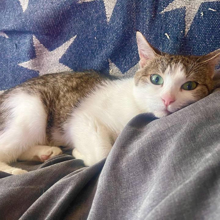 C2e52f3c 7d3f 4635 8d4f 32bee765097b 1626992756378