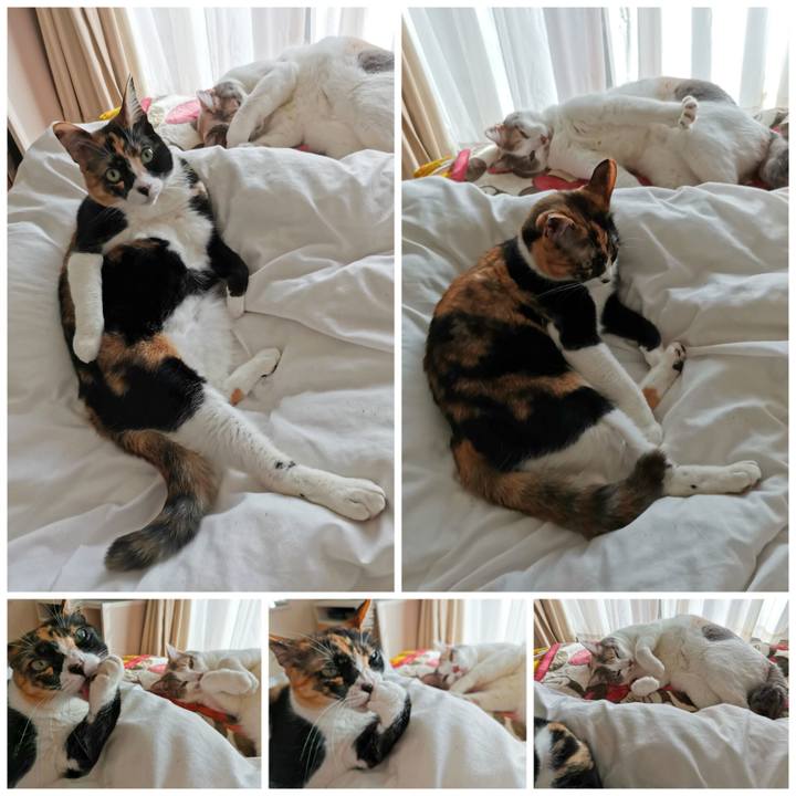 C2e52fe2 f3f5 49ce bb7f 5127b1ff8b18 1677473737629