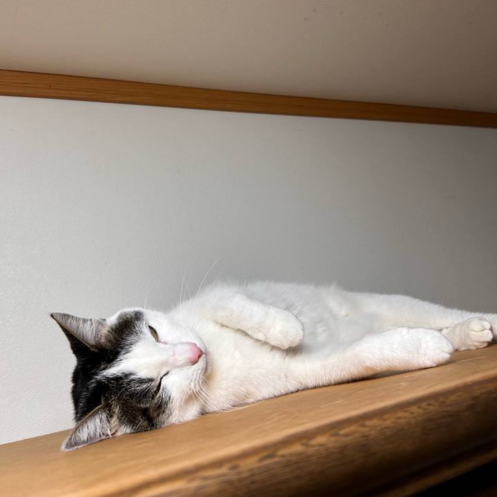 C2e53237 f43a 4331 8183 ba4caf6cef21 1739973940385