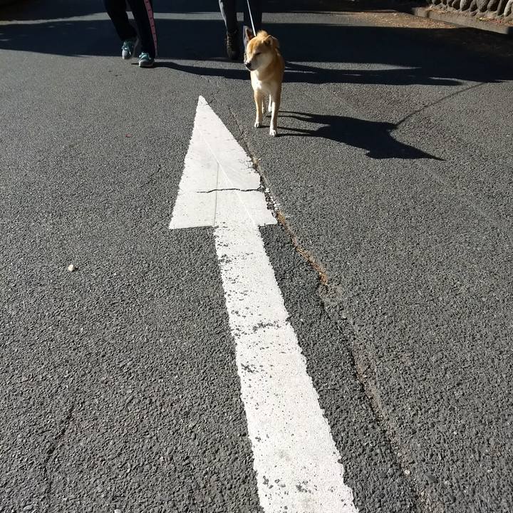 C2e54518 00b2 4c89 92fe a0eda3204d28 1517041318346