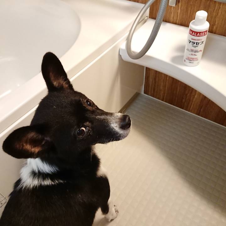 C2e5643c f36e 4214 bdcb 6019d2276d2e 1632570547848