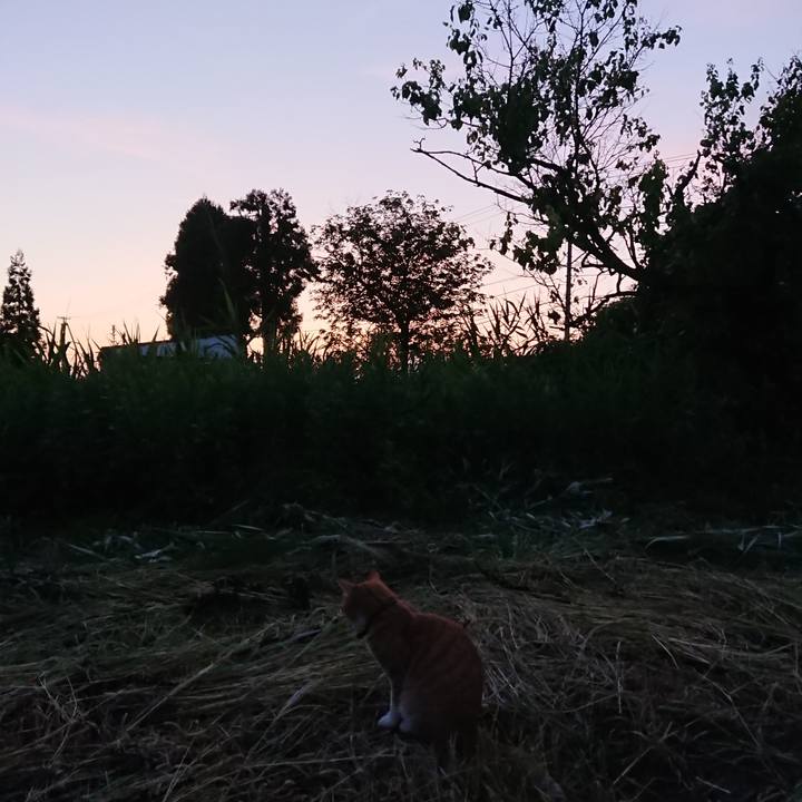 C2e56a17 f27d 4e51 b875 6e3045f27ed3 1566035429522