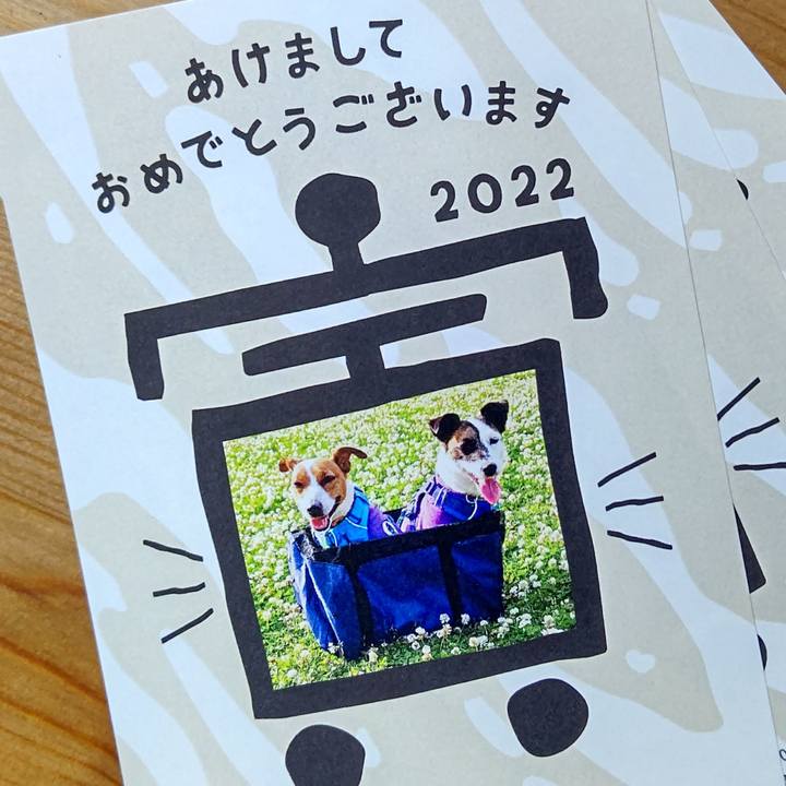 C2e58af2 015f 4944 b470 3d9a7cc8cde4 1640967236853