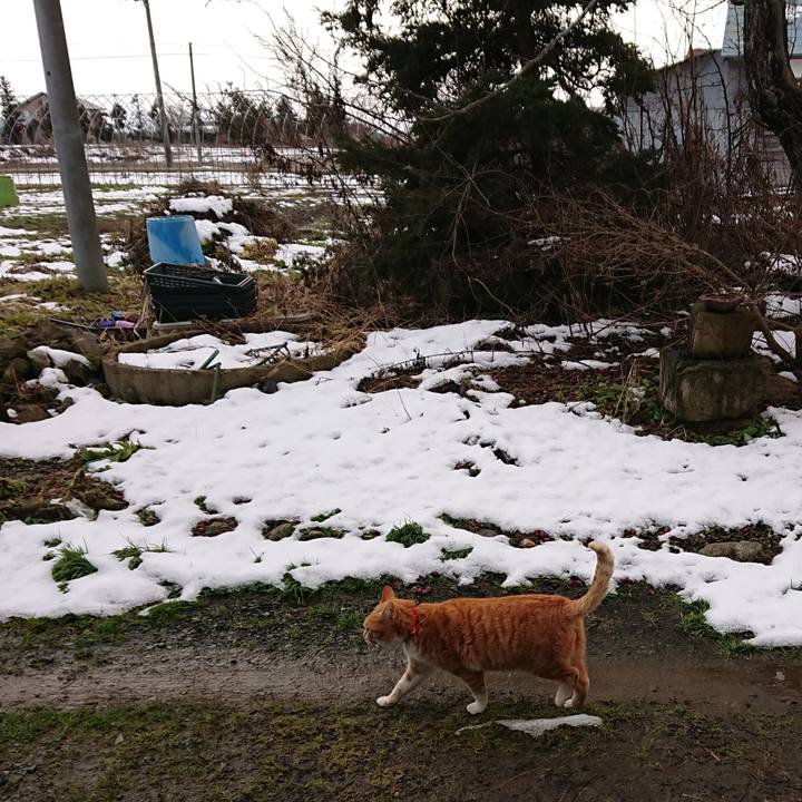 C2e5e2b6 d5c1 49a2 989d cdf849f733a5 1578109491677