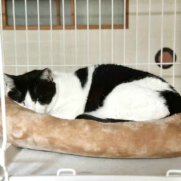 C2e5f1eb 20fc 467f 8a19 efae98a6f1ae 1681264196279