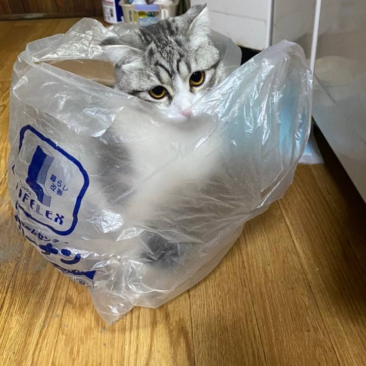 C2e60e19 5079 41ee b3d4 ff733cf0d561 1610020618602