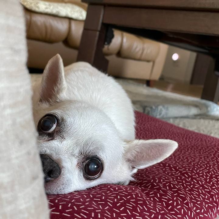 C2e62df5 1e1c 4c0b 83fc 578026c7677f 1695804374737