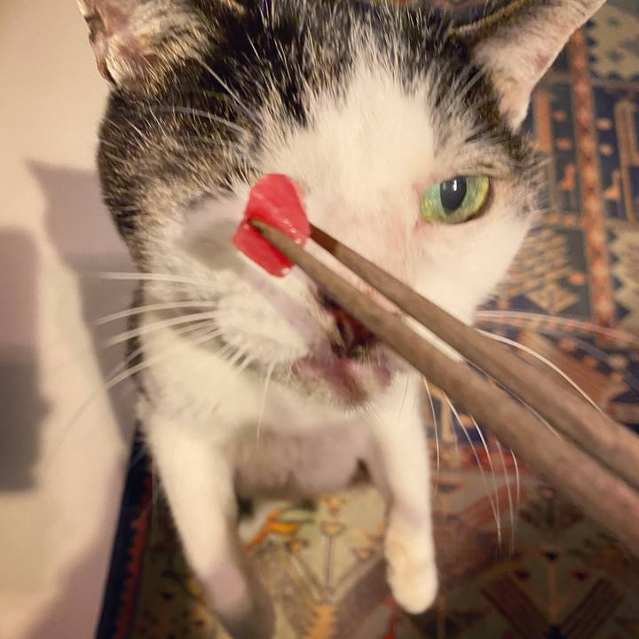 C2e631d4 3032 4556 b975 ecce43e0e5eb 1639313138817