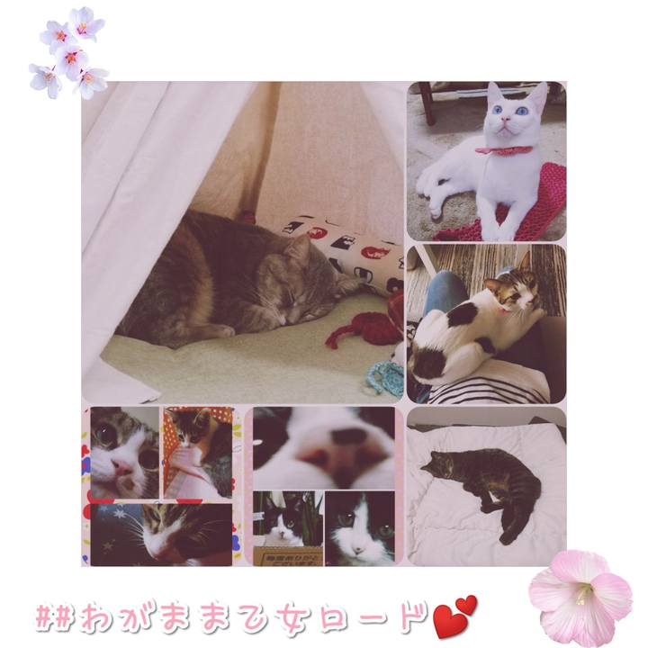 C2e6344d d8ad 4593 8a8d 72f83f3da85b 1568890298574