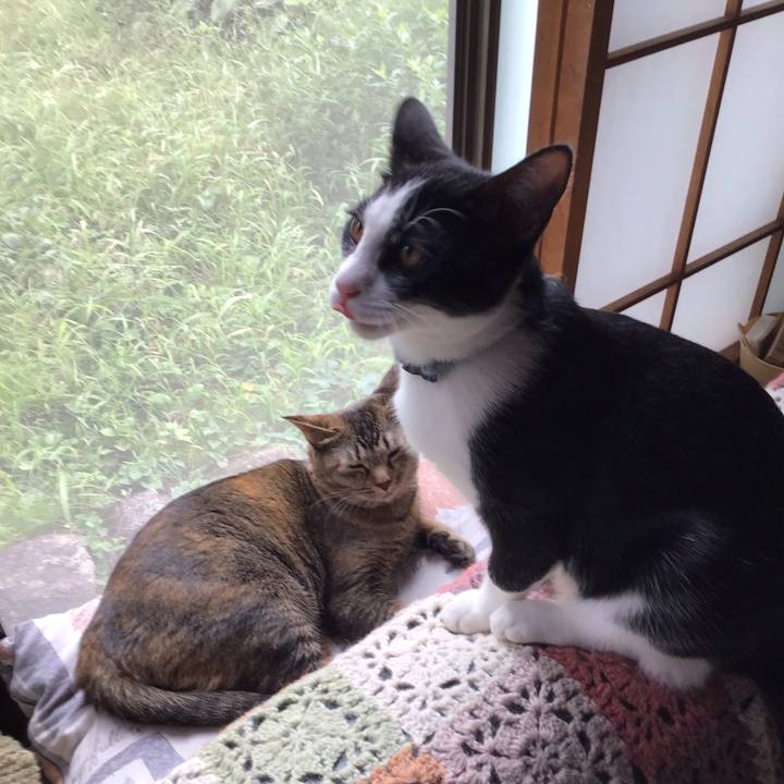 C2e63d2f c36e 4ef5 80e0 fe8b6dae8226 1632276588928