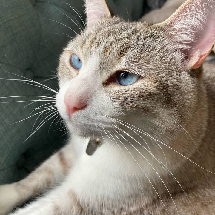 C2e64975 4fb0 41dd 8740 743adfbf3ee8 1620606486033