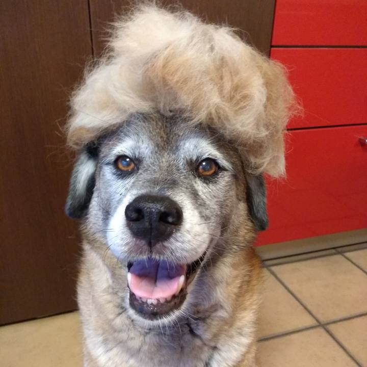 C2e65489 0991 4a0d 8b7b 304323dd2038 1625097864915