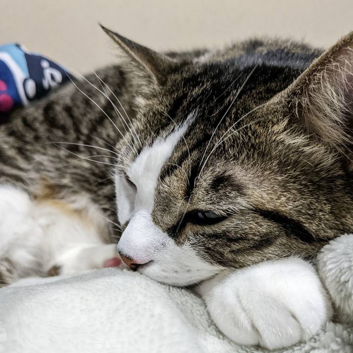 C2e6831c 76b2 4b45 8f11 e5eee5a8a79c 1667720006191