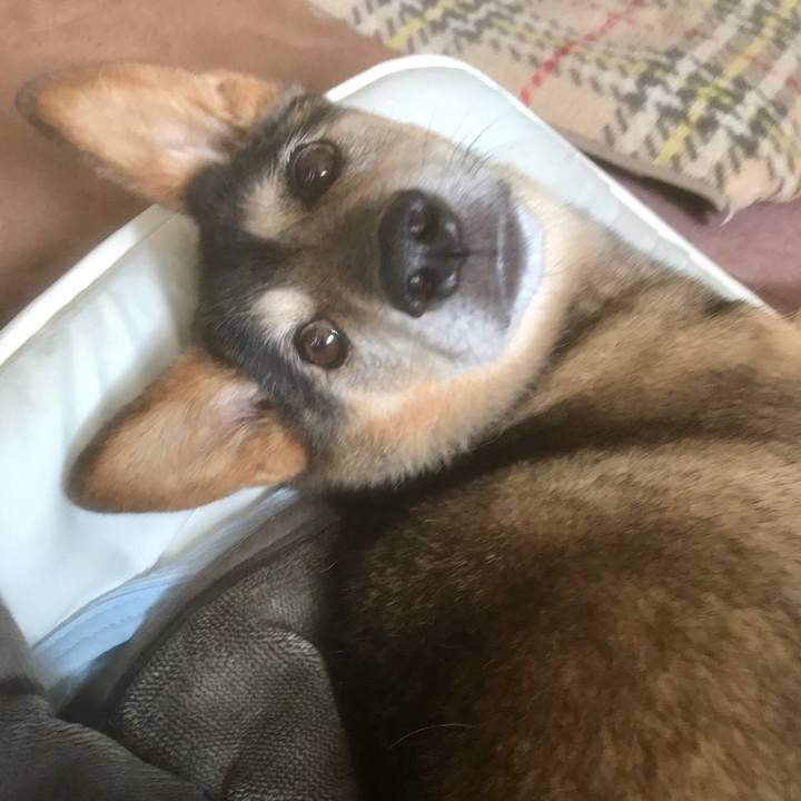 C2e68dfc 8967 46d2 8a34 32f3fcc32825 1537395051585