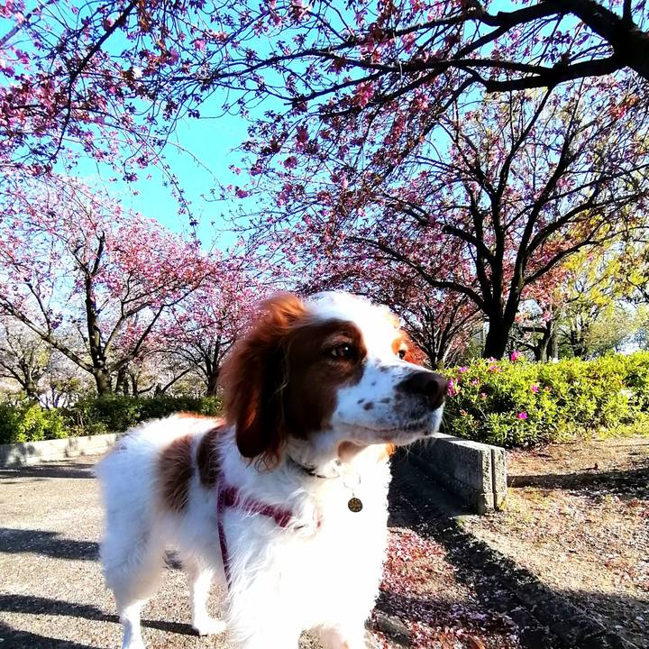 C2e699ff d094 40ca 818d cb39c39815a0 1586863585778