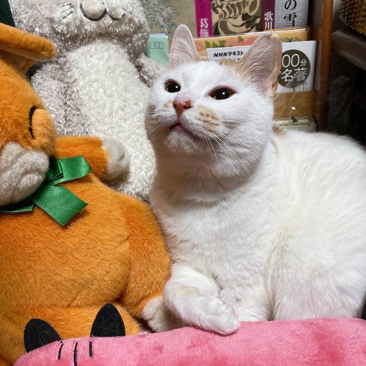 C2e6a2b2 4179 43d5 8f2e 6e90d028b8fe 1644064274434