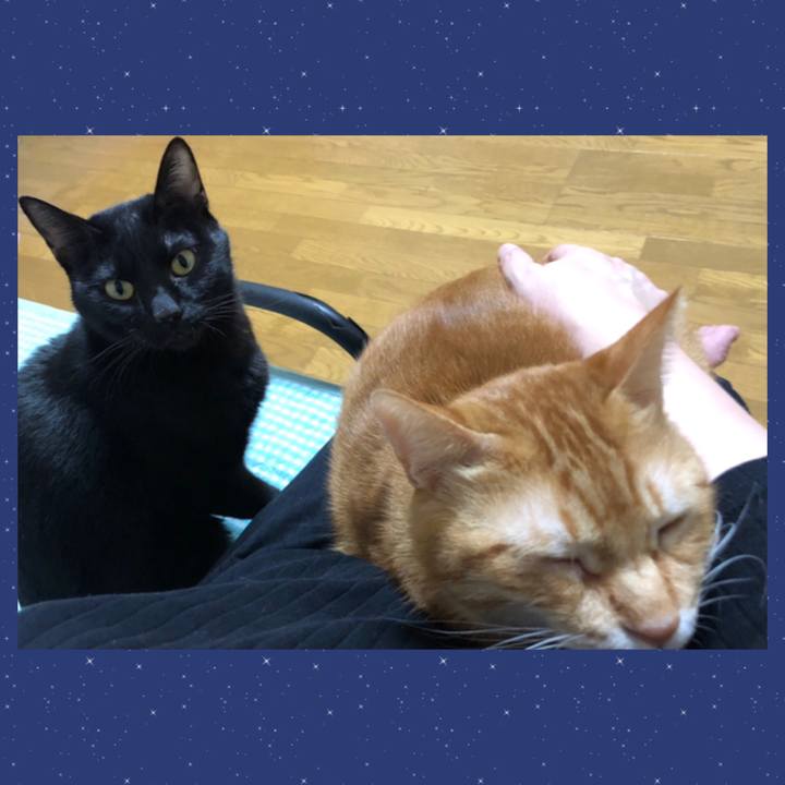 C2e6ac26 39cd 4688 a39e 6c70249c72a6 1664198580590