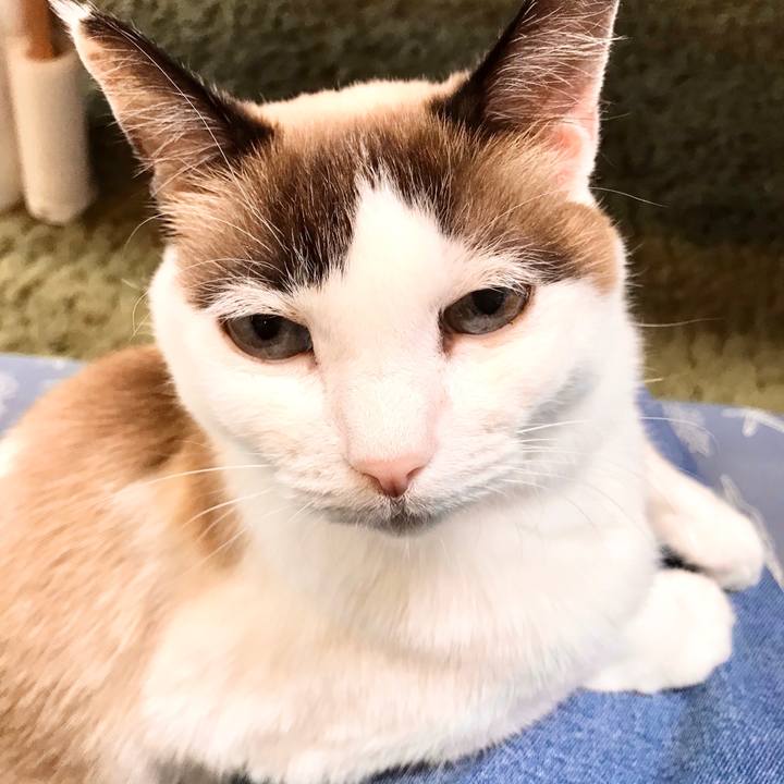 C2e706d9 12d9 4bc7 85d1 5b0a6f03619e 1578361958685