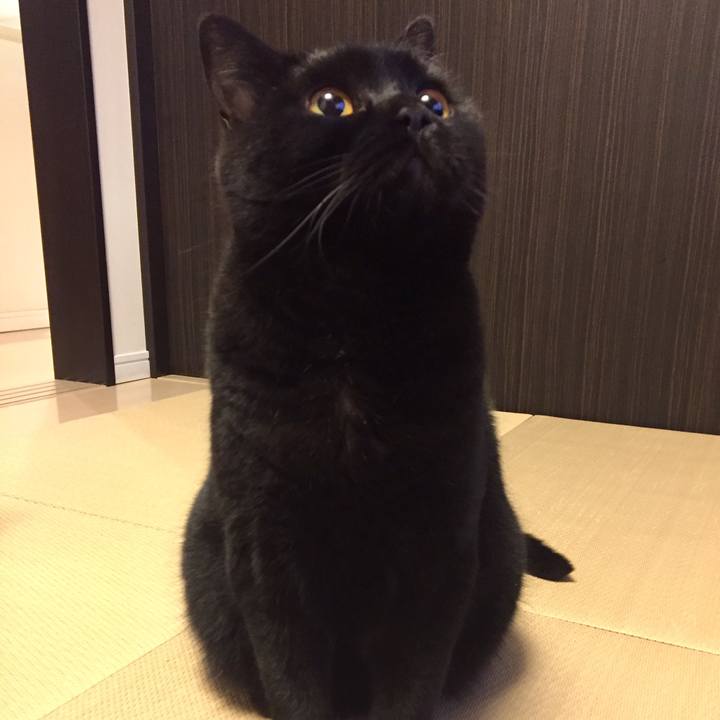 C2e70f5b 41d2 4554 8344 e4d1e5f625cb 1526645366928