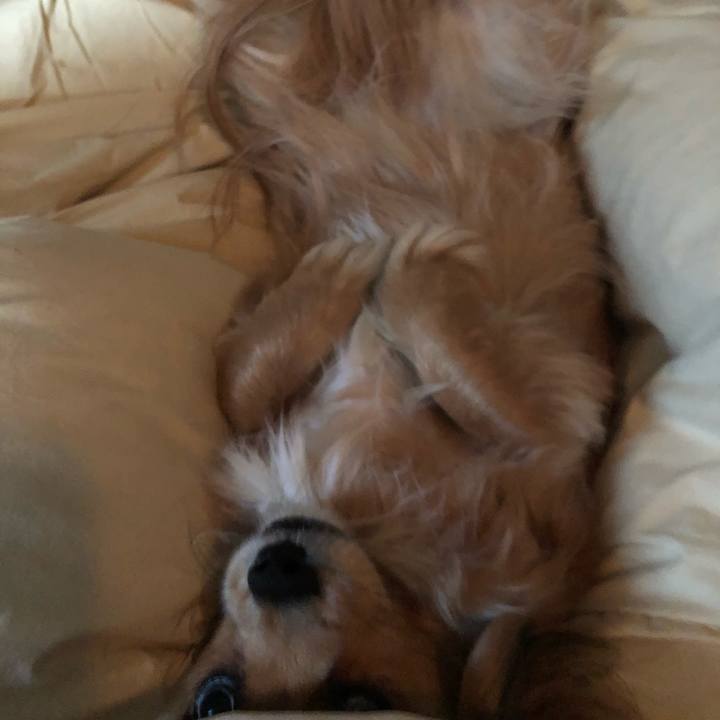 C2e745cc 6b49 49c2 b1e4 89c6443d7061 1551737375162