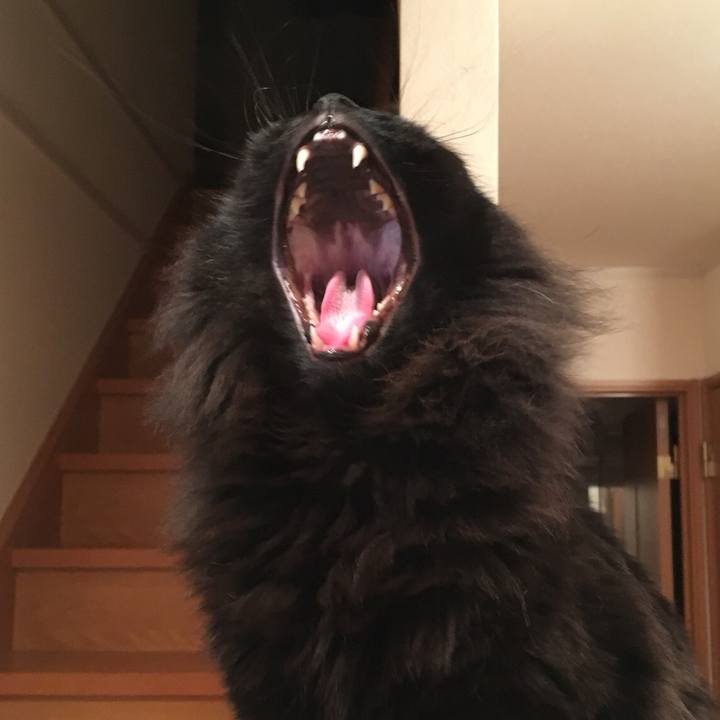 C2e75224 d1ce 4eda acc0 3c66b23379ca 1549977976221