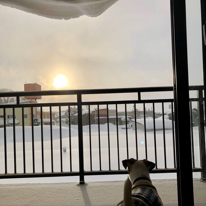 C2e7889d 4327 448e bac3 0f097dbe8a21 1548547131154