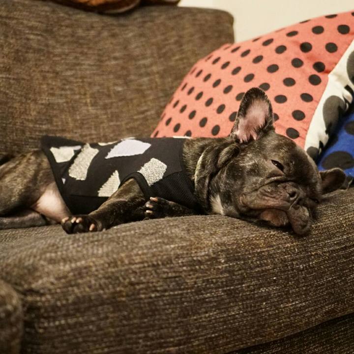 C2e7df6e b4a0 4c5f 88a0 85da45db1863 1507780535739