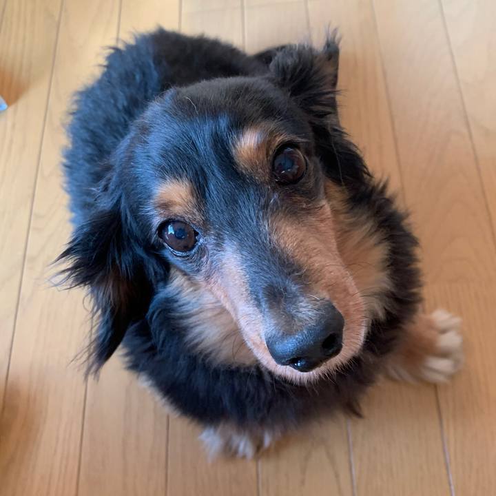 C2e806f2 788d 4f73 b9c0 c6473d03c0ed 1592005179668