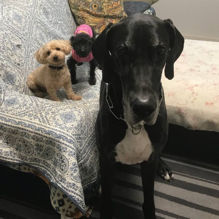 C2e81315 48e8 4928 a9d5 86107830b26f 1525647300486