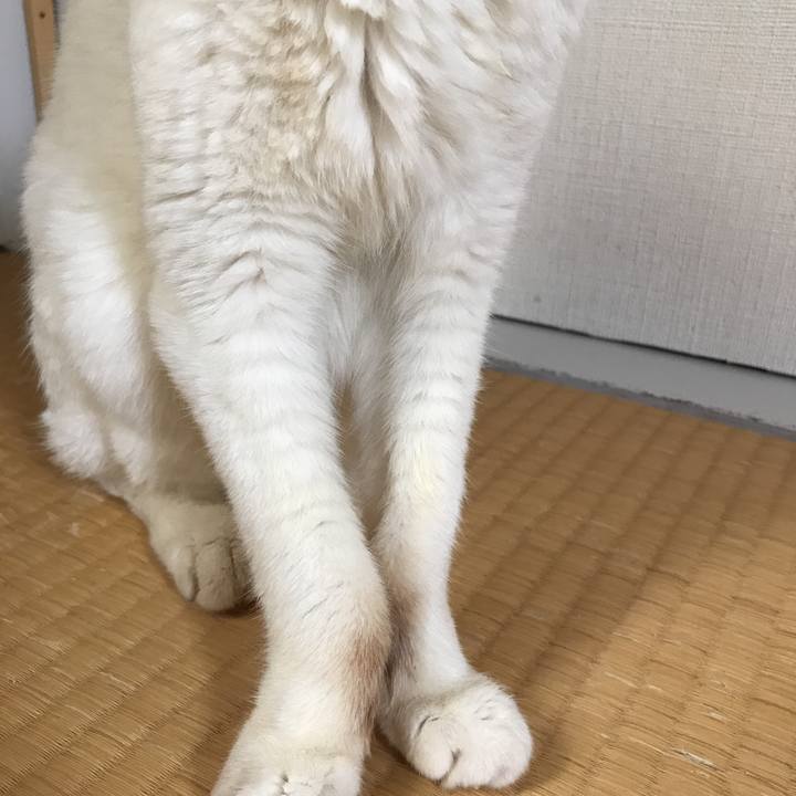 C2e85d7f a956 4753 a152 dfdb72772d4e 1535145761039