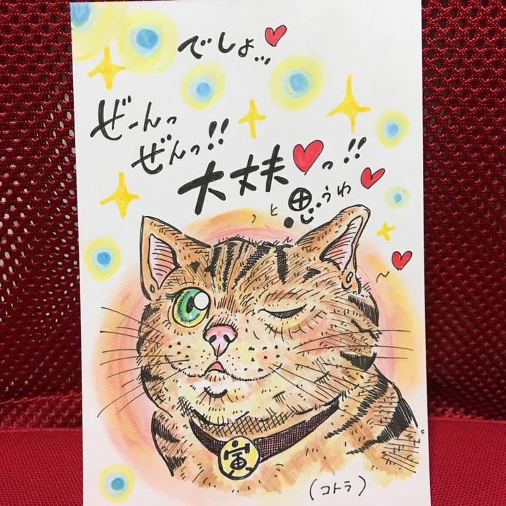 C2e8c80d 1305 4065 8086 94c922d4e3a3 1552052100536